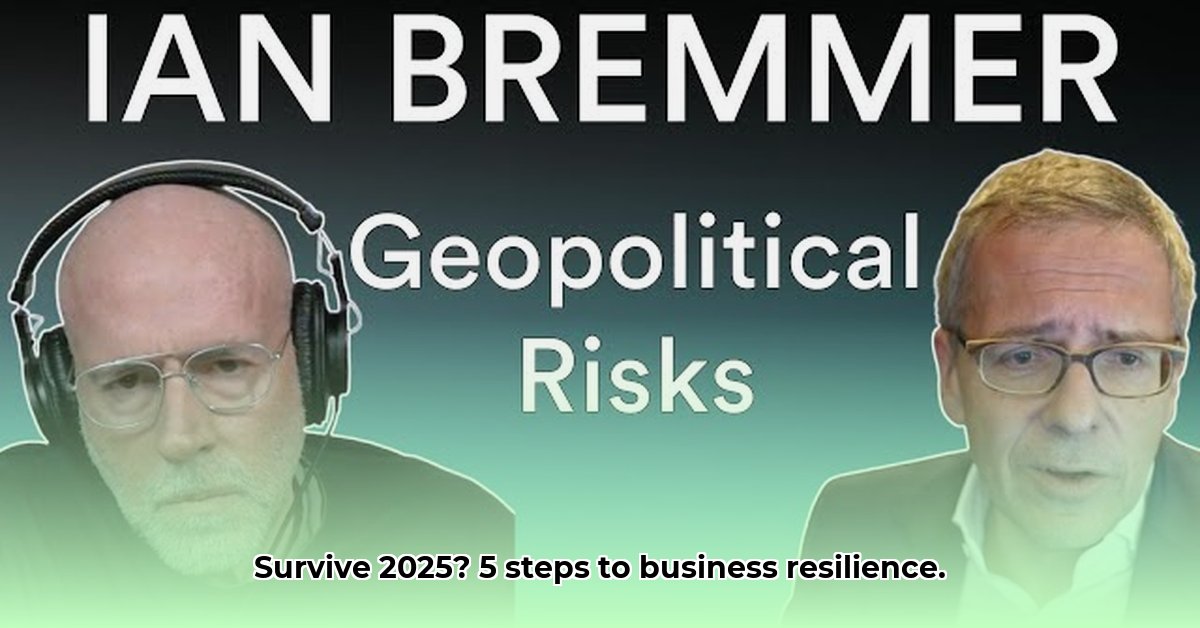global-geopolitical-risks-2025